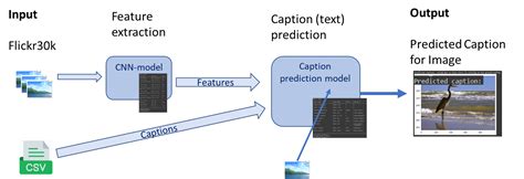 Code Interpreter Image Captioning に対する画像結果