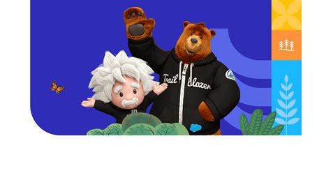 Image result for Salesforce Developer Acknowledgement