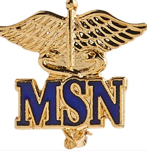 Image result for RN to MSN Wisconsin