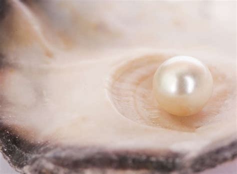 Heptacene Open Shell Closed Shell に対する画像結果