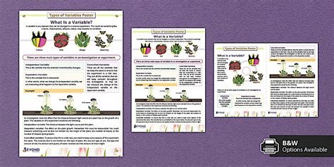 Toradh íomhá ar Graphical Display 2 Variables