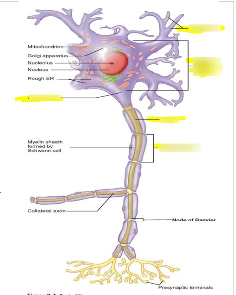 Image result for LAN LED Multipolar Neuron