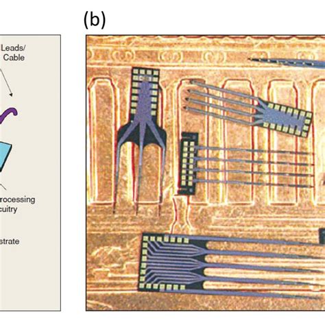 Image result for Michigan Array