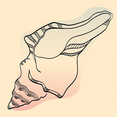 Image result for Sea Shell Pattern Drawing