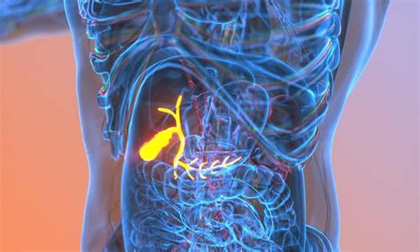 Image result for Gallbladder Has Sludge