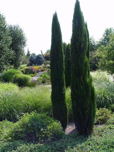 Image result for Windows Explorer TreeView Desktop