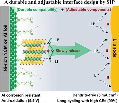 Lithium Metal Anode Interfacial Layer के लिए छवि परिणाम