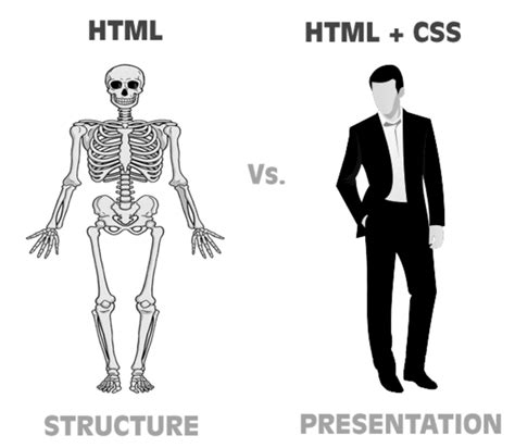 Image result for HTML vs CSS Website Examples