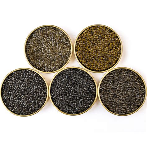 Image result for Caviar Gift Set