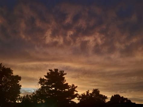 Channel 40 News Springfield MA に対する画像結果