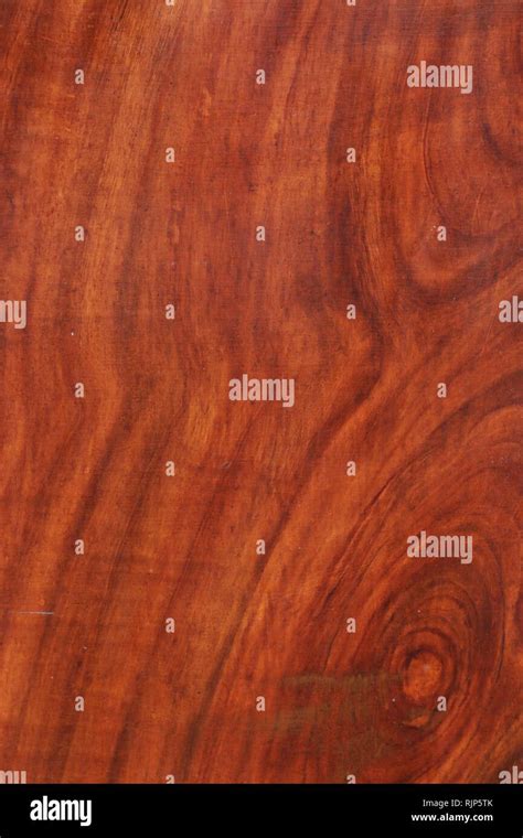 Image result for Graining Sample Card