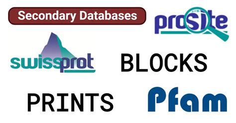 Secondary Key Database に対する画像結果