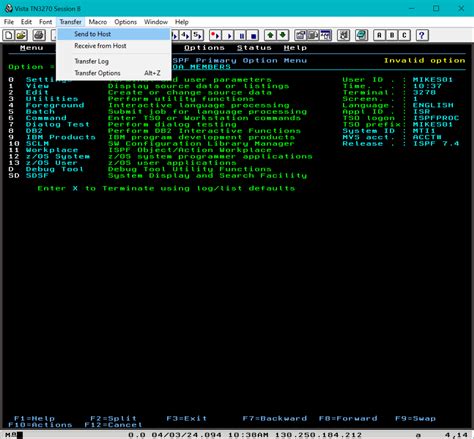 Mainframe File に対する画像結果