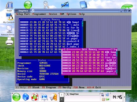 Image result for Stag Programmers