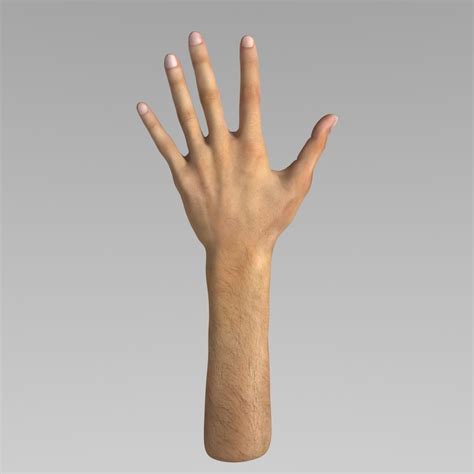 3D Hand Autodesk に対する画像結果