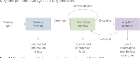 Image result for Multi-Store Memory Model Diagram