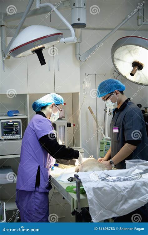 Image result for Dog On Operating Table