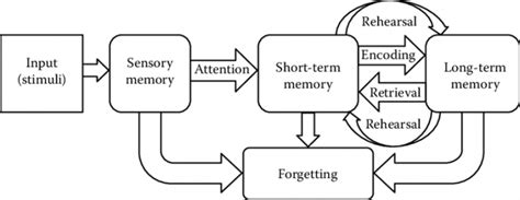 Image result for Memory Processing