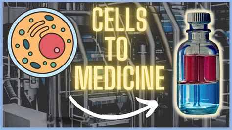 Image result for Biotech Process Map