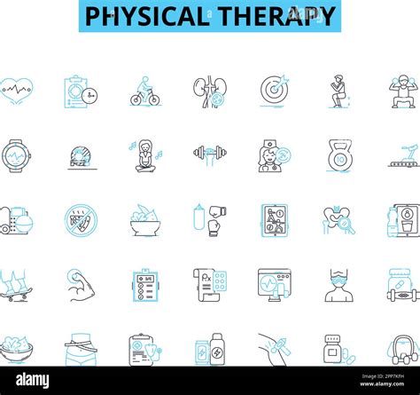 Image result for Physical Therapy Exercises Icon