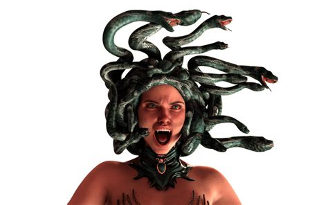 Image result for Medusa Python