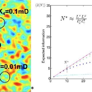 Image result for Randomized Diffuse Map
