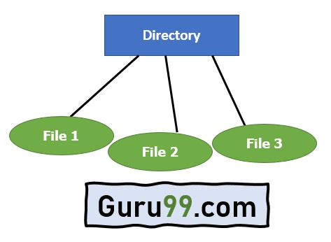 Image result for Mac OS File System Diagram