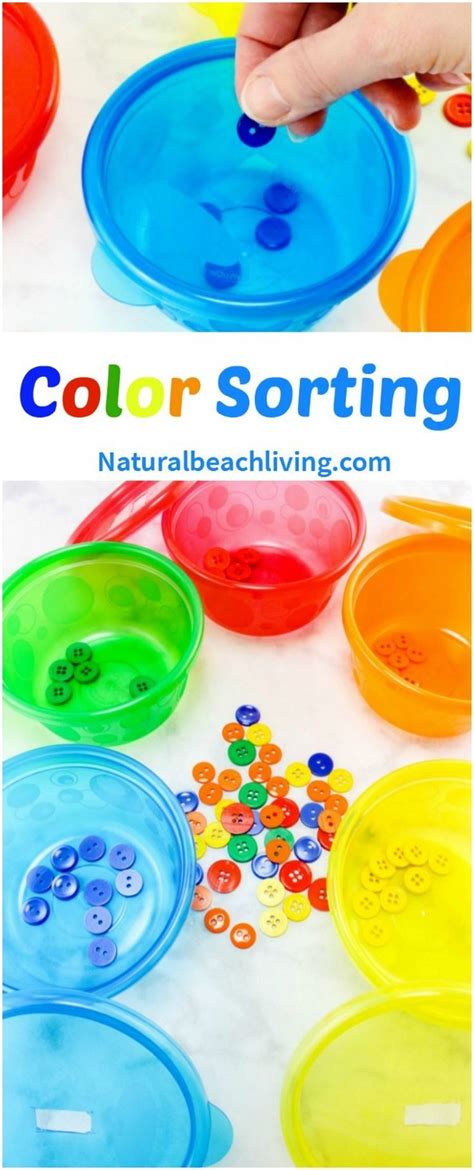Image result for DIY Color Sorting