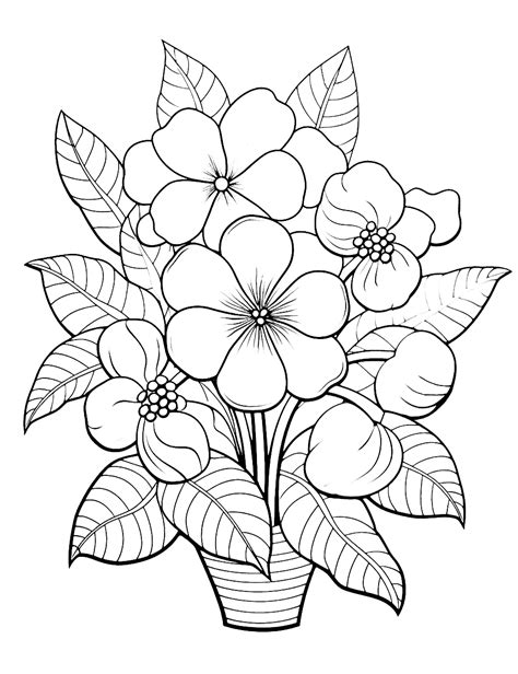 Image result for Color Flower Coloring Pages