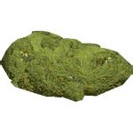 Toradh íomhá ar Rainbush Slice