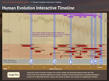 Image result for Human Evolution Tim Graph