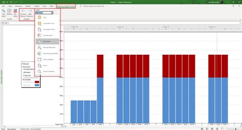 Image result for Microsoft Project Resource Loading Chart