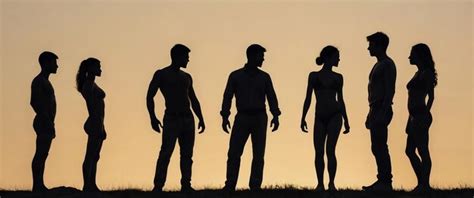 Image result for Basic Human Figure