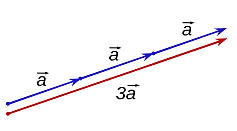 Image result for Multiplying Vector by a Scalar