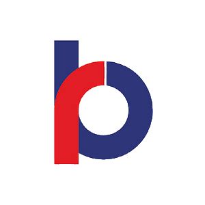 Image result for RICBL Bank Logo
