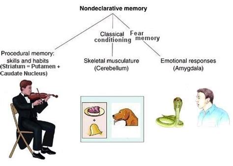 Non Declarative Memory Types に対する画像結果