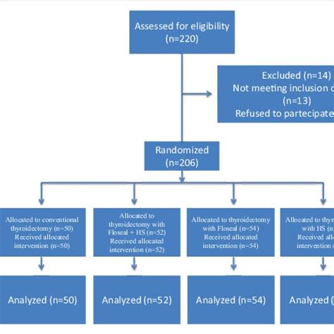 Randomization Flow Chart Template-साठीचा प्रतिमा निकाल