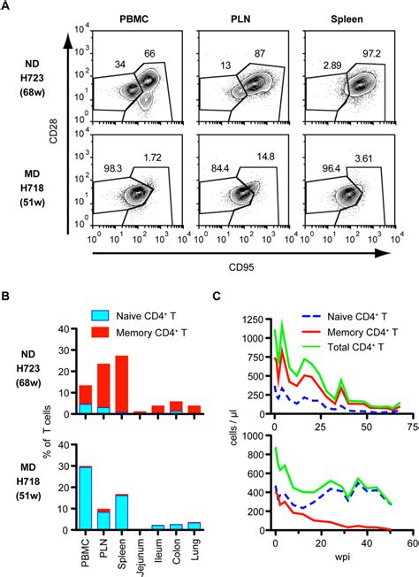 CD4 T-cell Subpopulation Flow Cytometry に対する画像結果