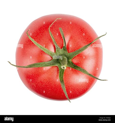 Image result for Tomato EXEFile