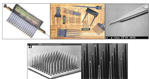 Image result for Michigan Array