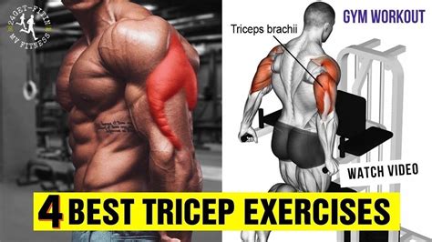 Image result for Tricep Excercisess