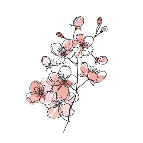 Spring Blossom Picture Line Drawing に対する画像結果