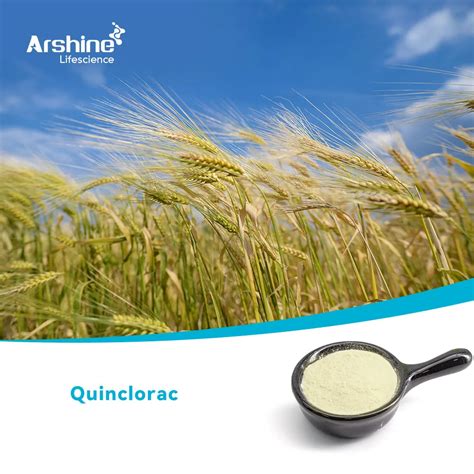 When to Use Quinclorac に対する画像結果