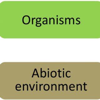 Positive Feedback Loop に対する画像結果