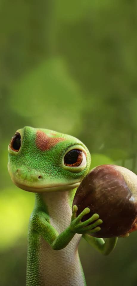 Image result for GEICO Gecko Commercials. Latest