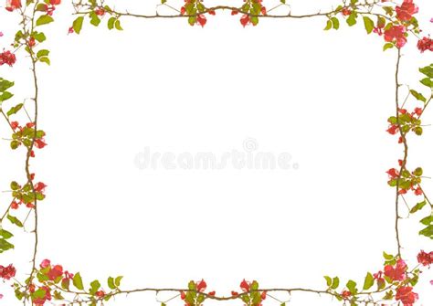 Image result for Boarder Frame Landscape