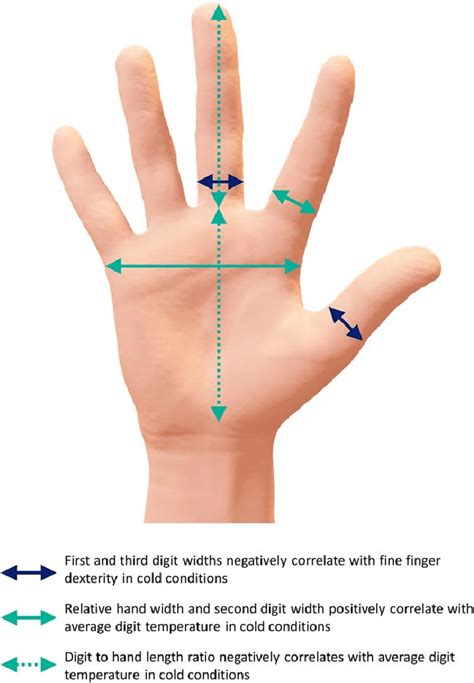 Image result for Chinese Digits Hand