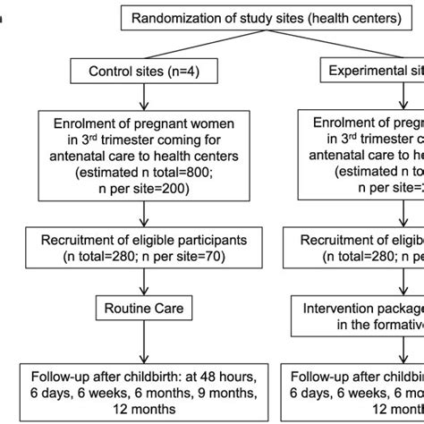 Randomized Control Trial Flow Chart Image に対する画像結果