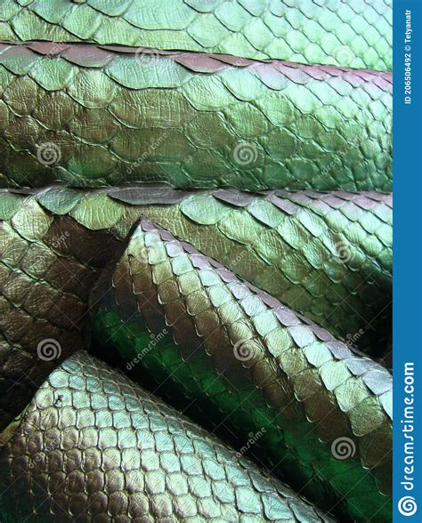 Image result for Green Python Skin